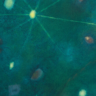 Loren Erdrich, Arc I (detail), 2026. Courtesy of Shrine