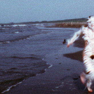 Ana Mendieta, Bird run (detail), 1974. Courtesy of Tate Modern