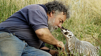 A badger can be quite sociable (taken from The Wild Bunch Ranch)