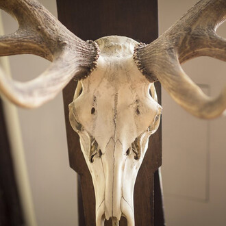Hunting exhibition. Courtesy of Museum and Library of Hungarian Agriculture