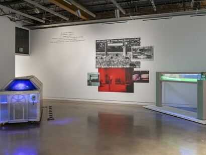 Carl Cheng, Nature never loses, exhibition view. Courtesy of Institute of Contemporary Art