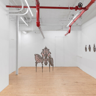 Wen Liu, Antidote, exhibition view. Courtesy of Gaa Gallery