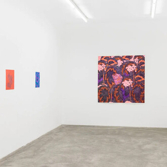 Adriana Czernin, American flowers, exhibition view. Courtesy of Galerie Martin Janda