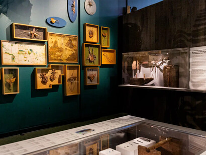 In other words, Québec, exhibition view. Courtesy of Musée de la civilisation