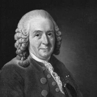 The famous Swedish taxonomist Linnaeus in 1730 branded men ‘dark skin’ as indolent, lascivious and sizing
