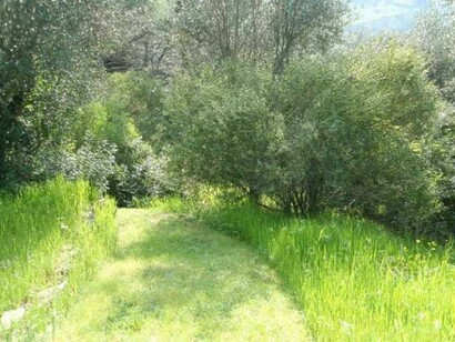 A countryside garden for all the seasons