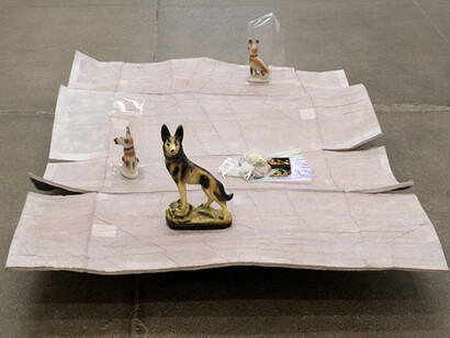 Liz Magor. Courtesy of Carpenter Center for the Visual Arts