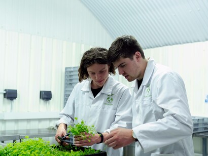 Scientists discussing what to do to make the world better