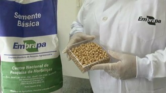 Pesquisadora da Embrapa integrante da rede Space Farming Brazil participa de estudos sobre o cultivo de plantas em ambientes extremos. A mesma capacidade de inovação que impulsiona a agricultura espacial também contribui para o desenvolvimento de cultivares adaptadas às condições tropicais brasileiras. O avanço científico liderado pela Embrapa busca ampliar as fronteiras da produção agrícola, dentro e fora do planeta Terra