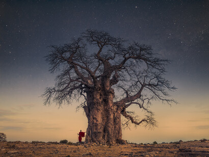 Gli archetipi della natura