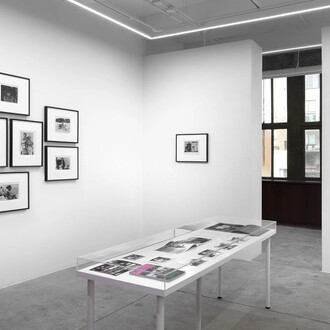 Mao Ishikawa, Rogue, exhibition view. Courtesy of Alison Bradley Projects