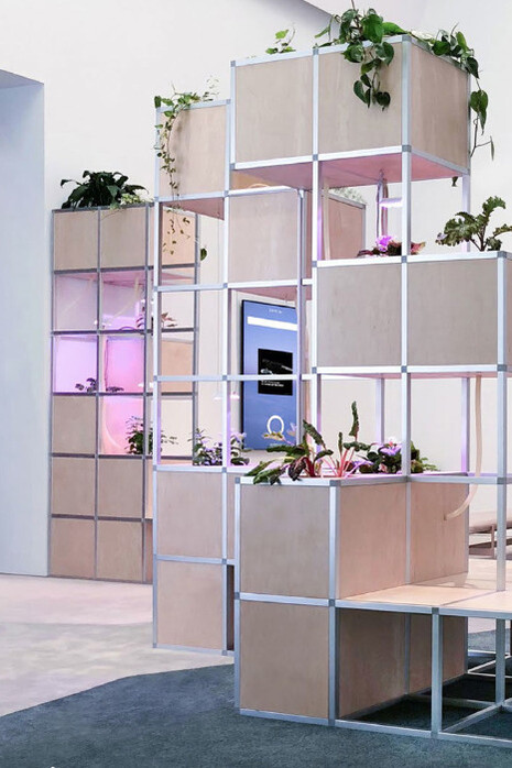 New Eelam. Courtesy of IMA