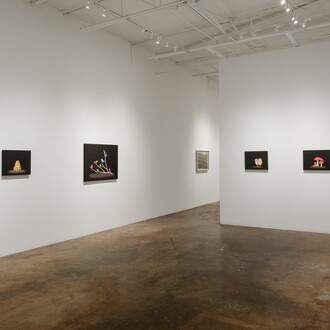 Isabelle du Toit, Vivarium, exhibition view. Courtesy of Cris Worley Fine Arts
