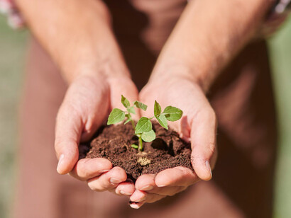 Alguien cargando tierra y una planta entre las manos. El elemento de la tierra es un símbolo femenino y pasivo