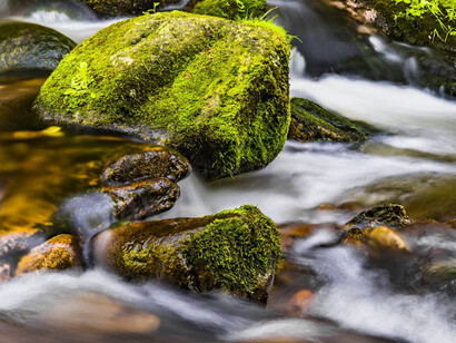 CBD oil may help us live calm, quiet, and peaceful lives, empowering us to be at one with ourselves like the flowing of the river's water