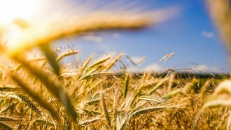 Scarcity or abundance: the choice is ours, and we must make it repeatedly throughout our days