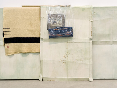 Liz Magor. Courtesy of Carpenter Center for the Visual Arts