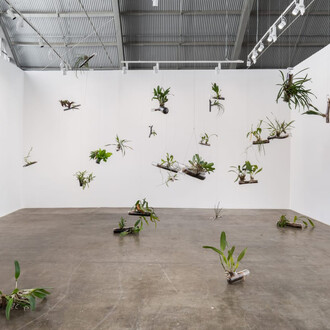 Daniel Steegmann Mangrané, Uma folha translúcida no lugar dos olhos, exhibition view. Courtesy of Mendes Wood DM