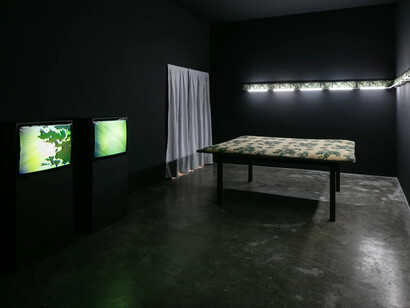 Anna Bella Geiger, Quase mapa, quase mancha, exhibition view. Courtesy of Mendes Wood DM