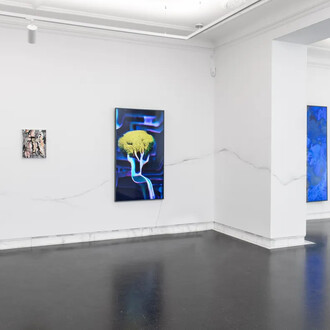 Sunjeong Hwang and Wonhae Hwang, Skin and nerve, exhibition view. Courtesy of Galerie Kornfeld