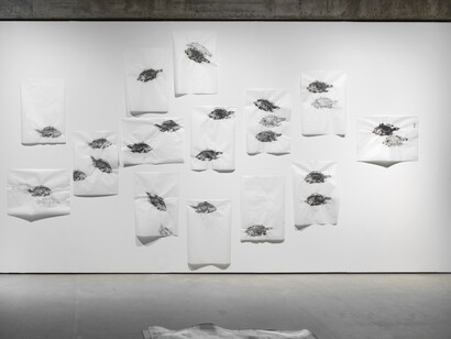 400 Million Years, Exhibition view. Courtesy of König Galerie