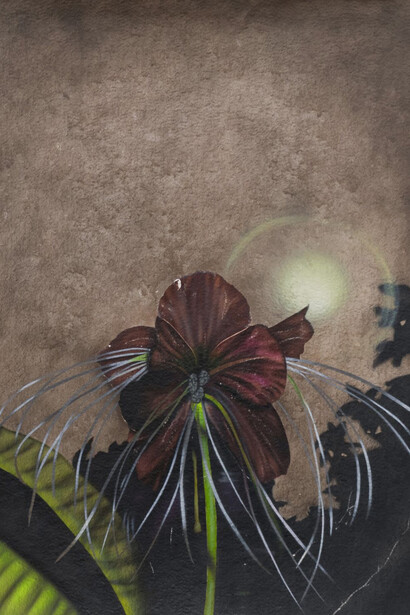 Jasmine Monsegue, Annihilation, 2024. Courtesy of Anglim/Trimble Gallery