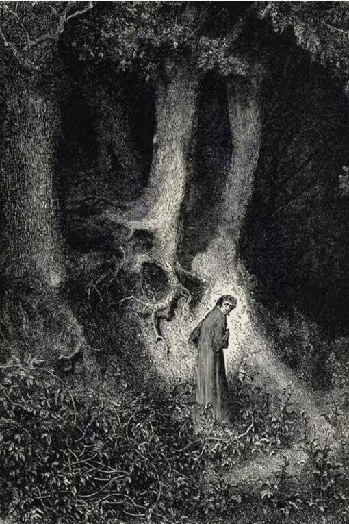 La Selva oscura