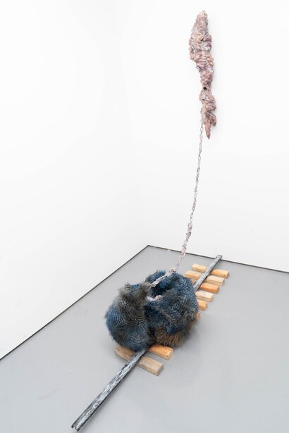 Echo Youyi Yan, Axial domestication, 2023. Courtesy of Eli Klein Gallery