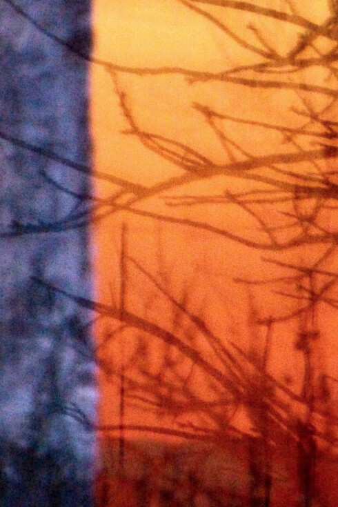 Anne Pharel. Courtesy of Galerie Photo12