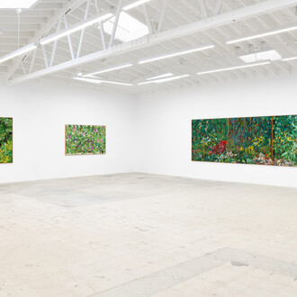 Mucki Botkay, Imaginary windows, exhibition view. Courtesy of Anat Ebgi