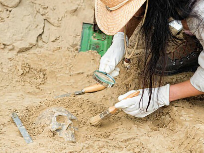 Amidst the dust and relics, an archaeologist meticulously uncovers the past