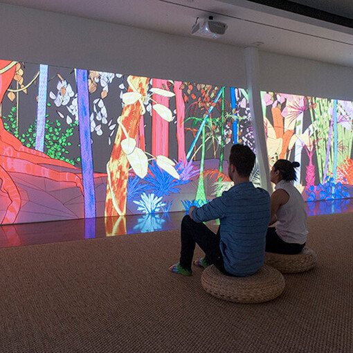 Nicolas Molé. Courtesy of Queensland Art Gallery