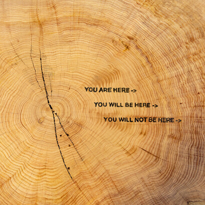 Tiffany Shlain, You are here (detail), 2024. Courtesy of Department Pr Gallery