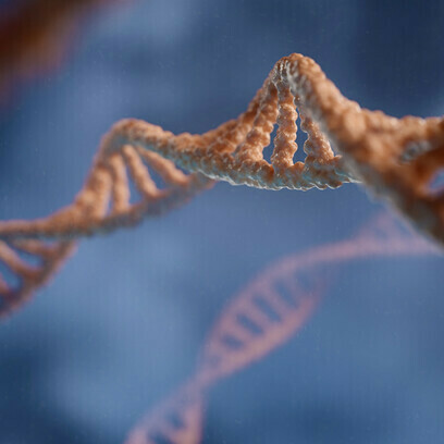 The human DNA has created a number of scenarios for which humans do not seem well-adapted