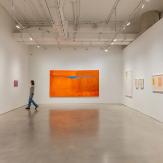 Sergio Sister and Karin Lambrecht, Color clímax, exhibition view. Courtesy of Nara Roesler Gallery