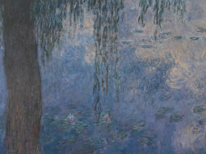 Claude Monet’s Water Lilies at the Musée de l'Orangerie