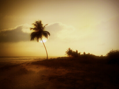 A Lakshadweep beach in the sunset; what is so appealing is the sheer synchronization of the tourist product – “Lakshwadeep” into a truly exotic Island hideaway