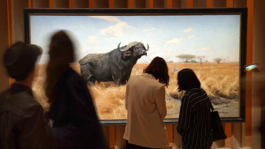 King of the Animals. Courtesy of SCHIRN