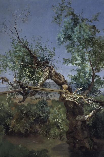 José María Velasco, A rustic bridge in San Ángel, 1862. Courtesy of The National Gallery