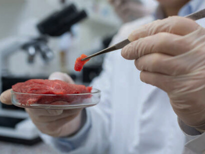 A male researcher examines lab-grown meat in a laboratory, while a team of scientists conducts experiments on artificially grown food, advancing the production of cultured, cell-based meat