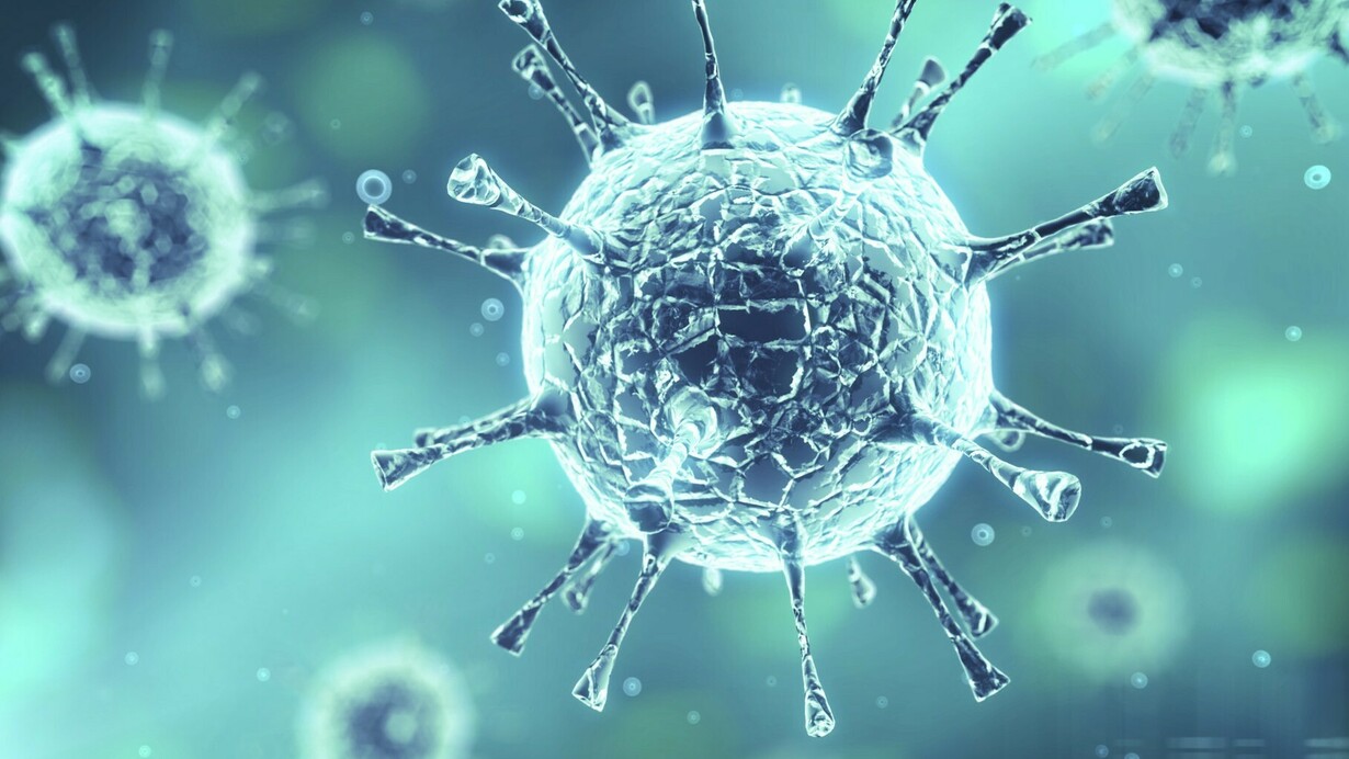 El virus zica
