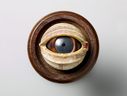 Nuremberg, Model of a human eye in a cup, ca. 1700. Courtesy of Deutsches Historisches Museum