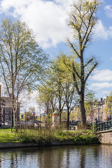 Hortus Botánicus de Ámsterdam, (1638), es uno de los jardines botánicos más antiguos de Europa, Paises Bajos