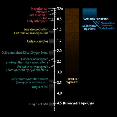 When we talk about the origin of life on Earth, we should think in terms of three qualitatively different origins: origin of unicellular life, origin of multicellular life, origin of intelligent life
