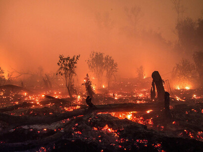 Indonesia proposes three strategies in COP 22 to restore peatlands