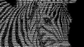 A net.art — como o próprio nome sugere — é uma forma de arte concebida na e para a internet. No Brasil, ninguém prefigurou esse impulso com maior lucidez do que o artista Waldemar Cordeiro, que, já nas décadas de 1960 e 1970, via nas novas mudanças tecnológicas uma via de fuga às amarras da arte tradicional, ainda presa ao fetiche do objeto físico. Sua visão antecipava a possibilidade de uma poética fundada na circulação e no acesso ampliado à arte, princípios que mais tarde se tornariam centrais para a net.art