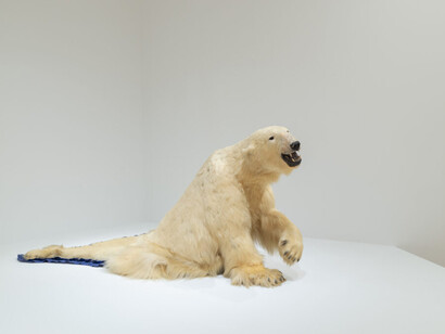 Nicholas Galanin, Exist in the width of a knife's edge, exhibition view. Courtesy of The Baltimore Museum of Art