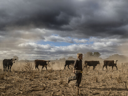 Planetary health and wealth must lead to an ecological restoration