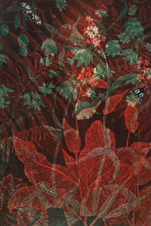 Julia Lucey, Late winter flowers and wild forget-me-not moths, 2024. Courtesy of Wally Workman Gallery