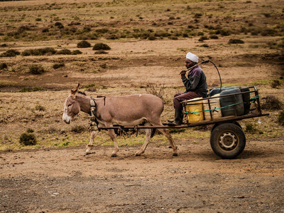 Navigating the rough paths of life, he rides in a wagon, a symbol of the resilience and resourcefulness found in low-income communities where survival demands both strength and determination
